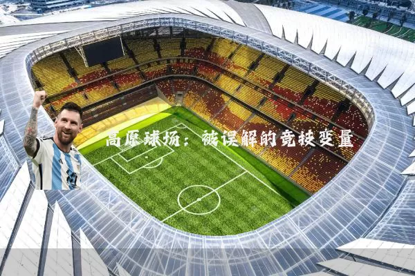 高原球场:被误解的竞技变量